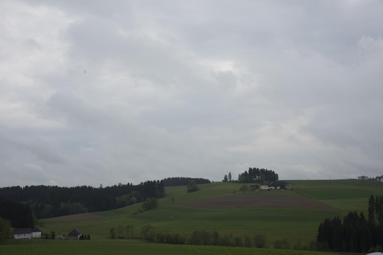 Отель Langs Wirtshaus Sankt Ulrich im Muhlkreis Экстерьер фото